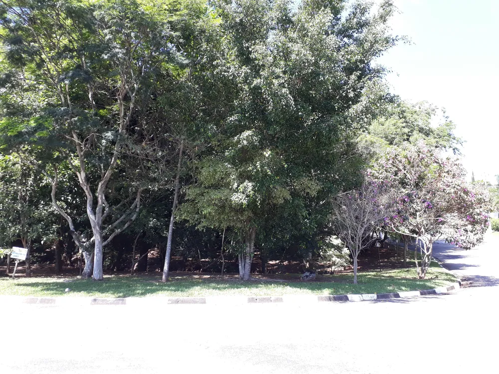 Terreno, 525 m² - Foto 4