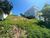 Terreno, 300 m² - Foto 7