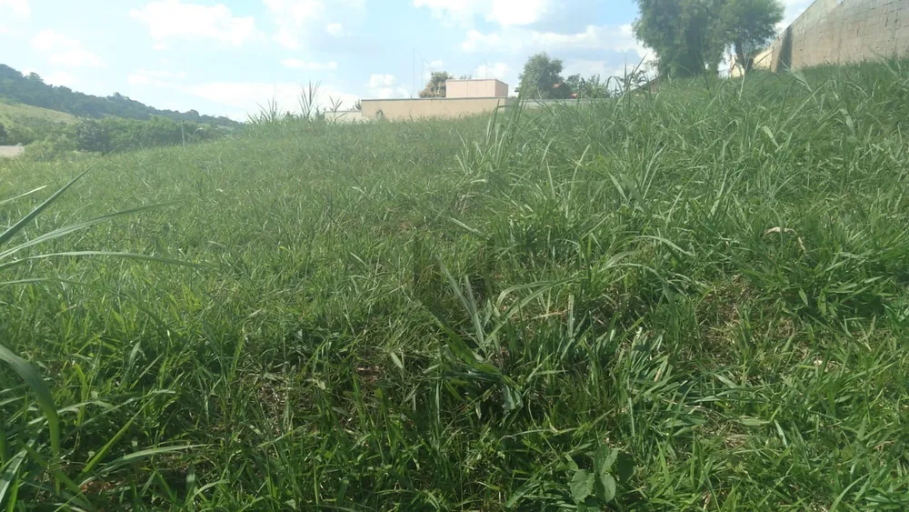 Terreno, 800 m² - Foto 5