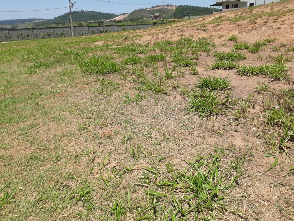 Terreno, 800 m² - Foto 5