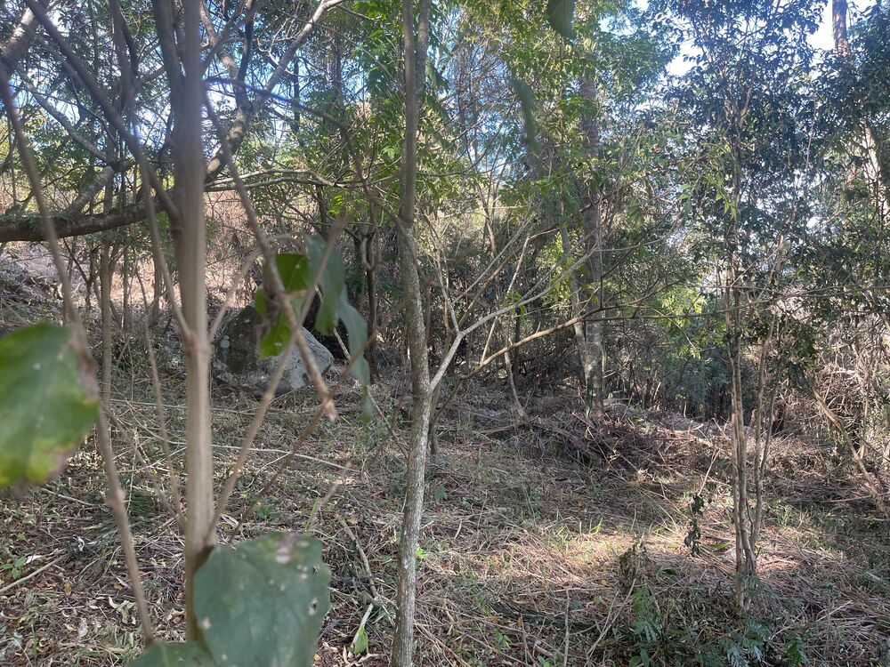 Loteamento e Condomínio, 7322 m² - Foto 2