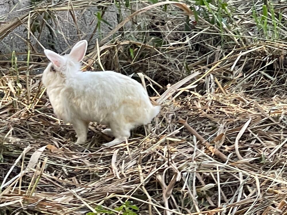 Loteamento e Condomínio, 7322 m² - Foto 4