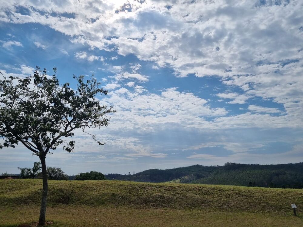 Terreno, 1600 m² - Foto 3