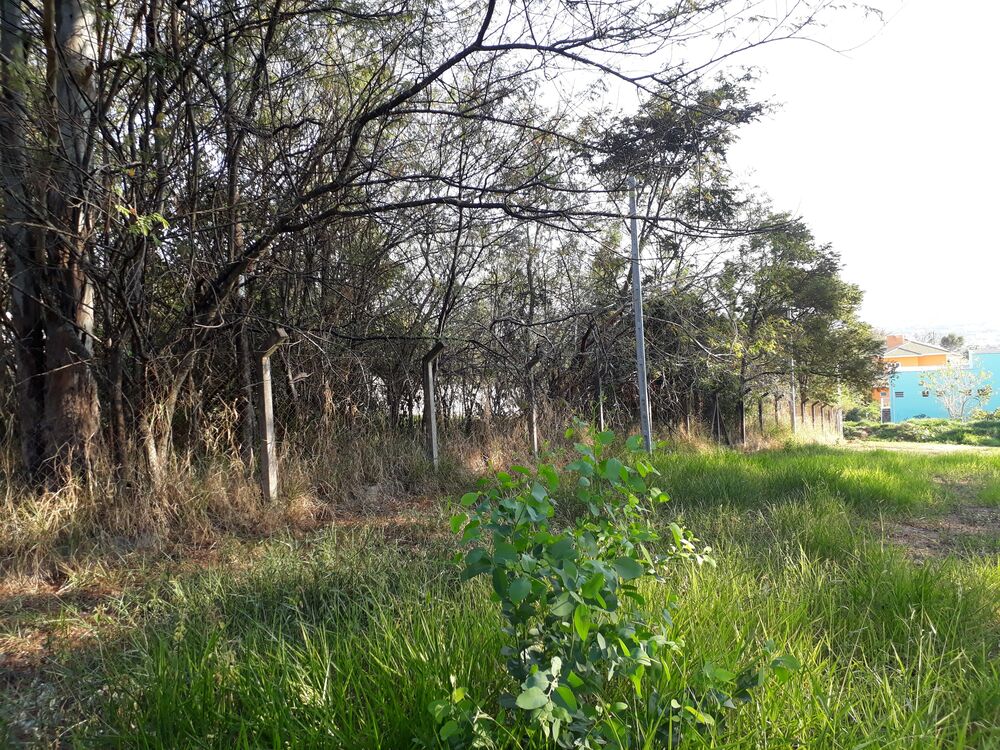 Terreno, 1000 m² - Foto 4