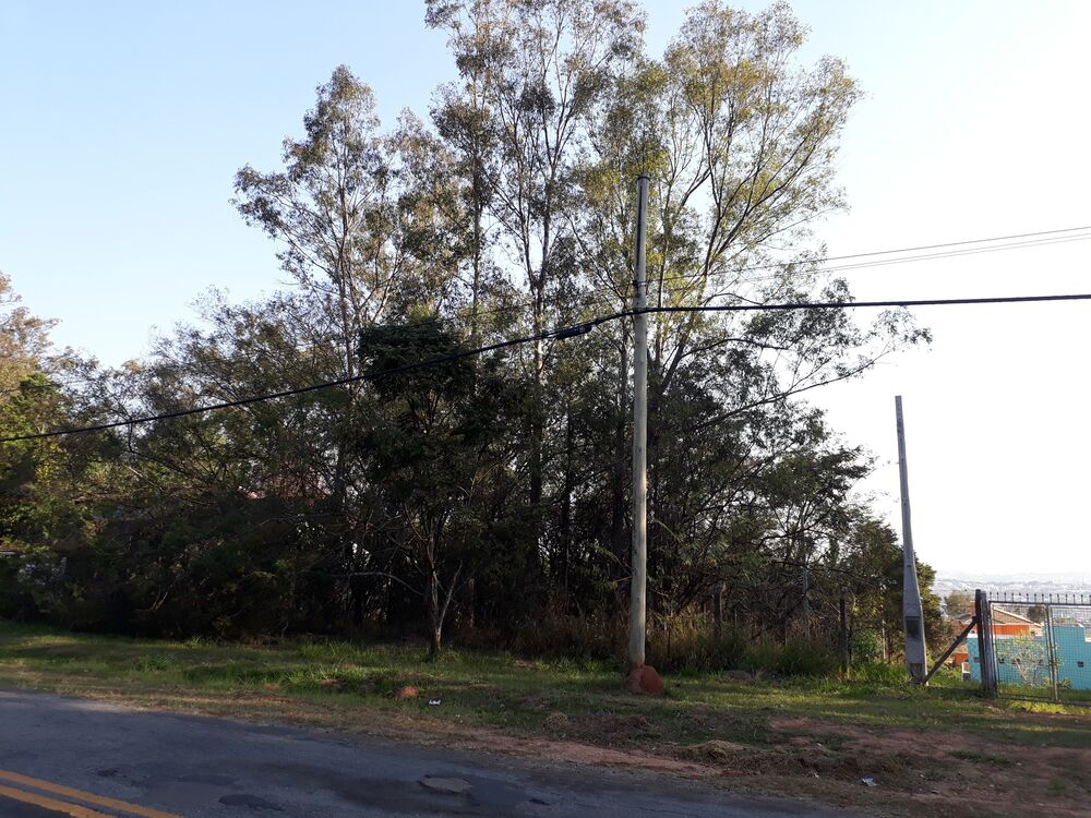 Terreno, 1000 m² - Foto 7