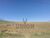 Terreno, 800 m² - Foto 1