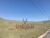 Terreno, 800 m² - Foto 3