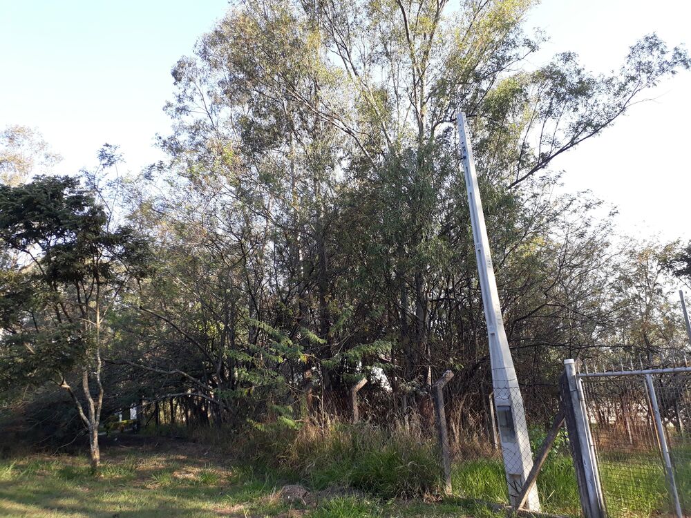 Terreno, 1000 m² - Foto 2