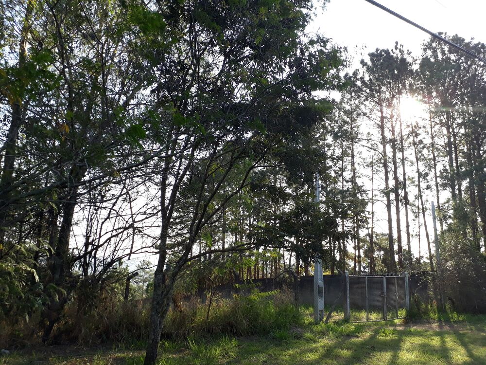 Terreno, 1000 m² - Foto 1