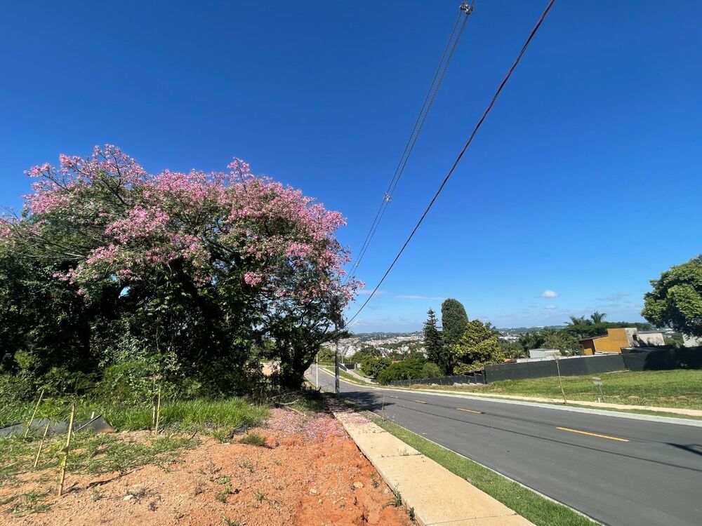 Terreno, 604 m² - Foto 5