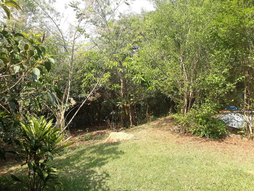 Chácara, 3 quartos - Foto 12