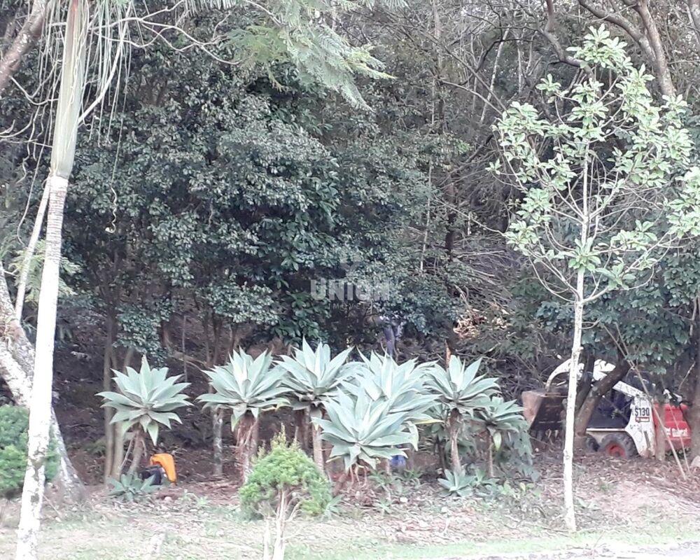 Terreno, 600 m² - Foto 7