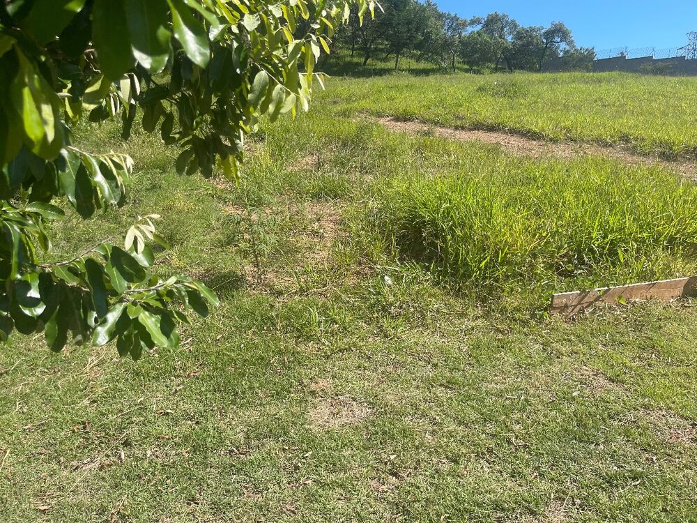 Terreno, 800 m² - Foto 3