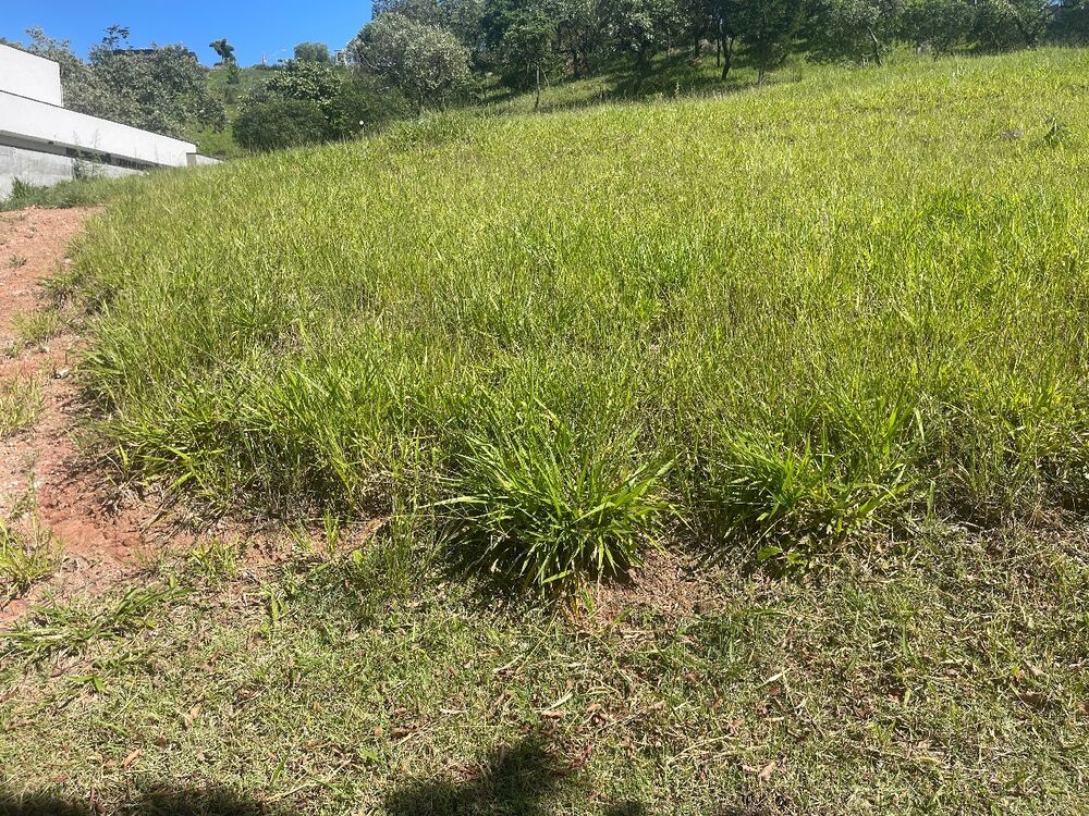 Terreno, 800 m² - Foto 1