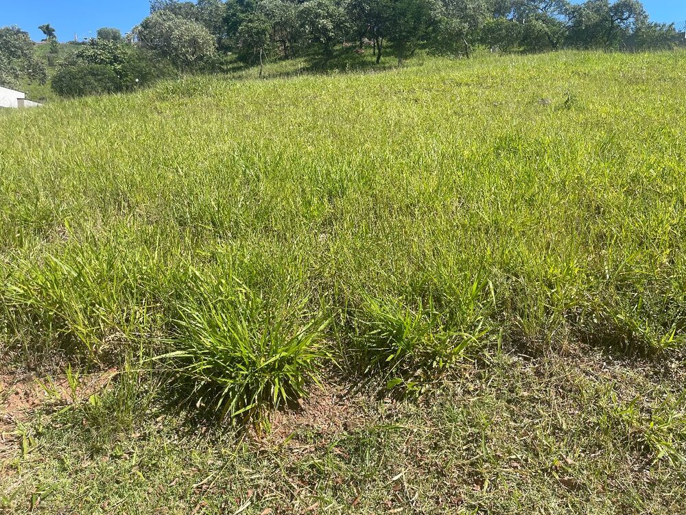 Terreno, 800 m² - Foto 4