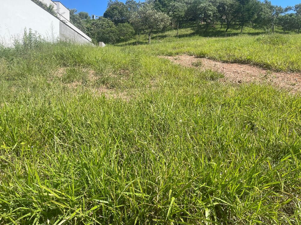 Terreno, 800 m² - Foto 6