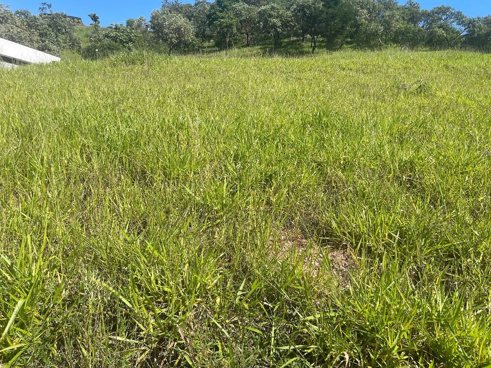 Terreno, 800 m² - Foto 5