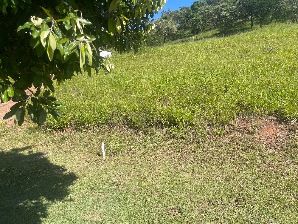 Terreno, 800 m² - Foto 8