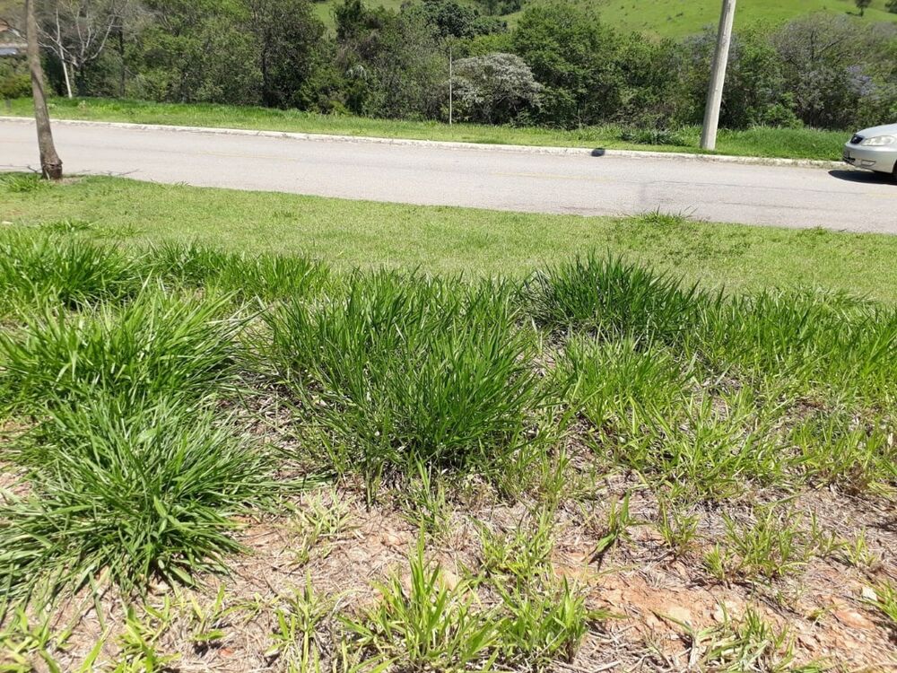 Terreno, 800 m² - Foto 8