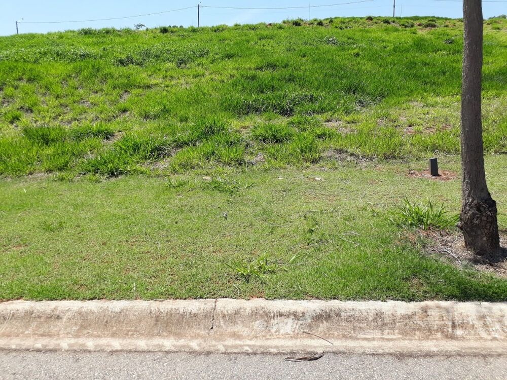 Terreno, 800 m² - Foto 5