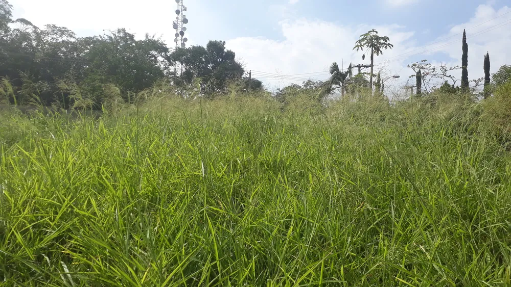 Terreno, 600 m² - Foto 3