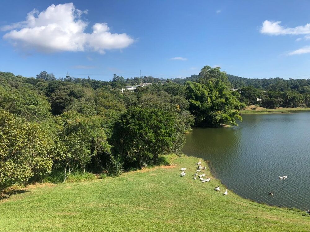 Terreno, 1000 m² - Foto 19