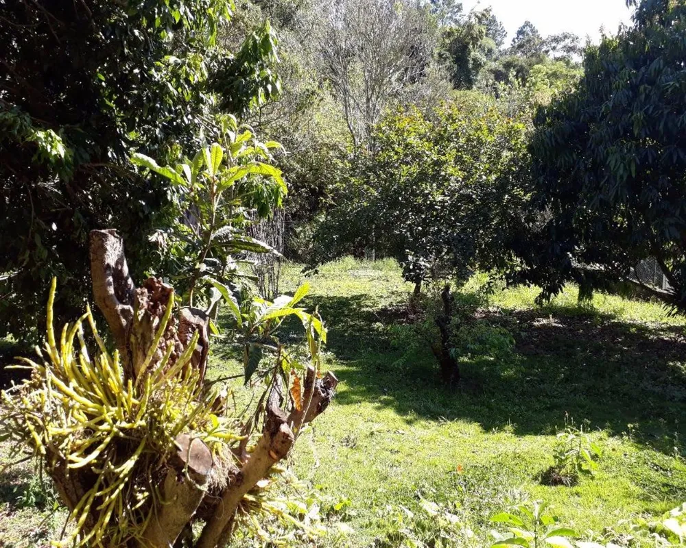 Casa, 3 quartos, 340 m² - Foto 8