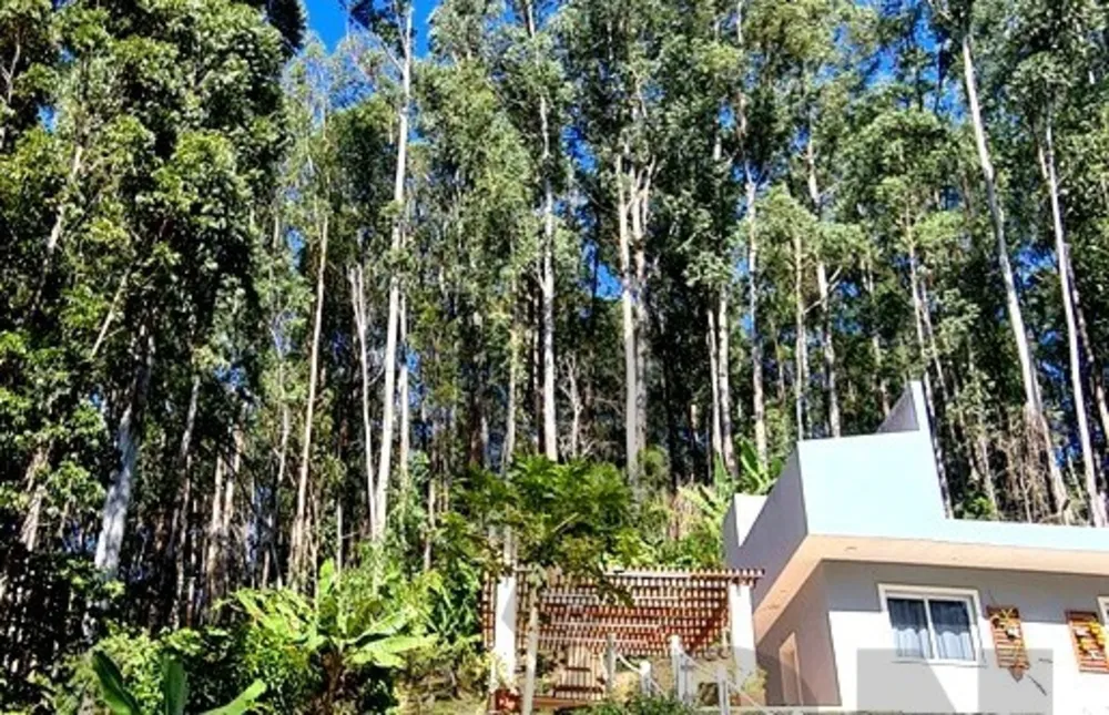 Casa, 3 quartos, 202 m² - Foto 12