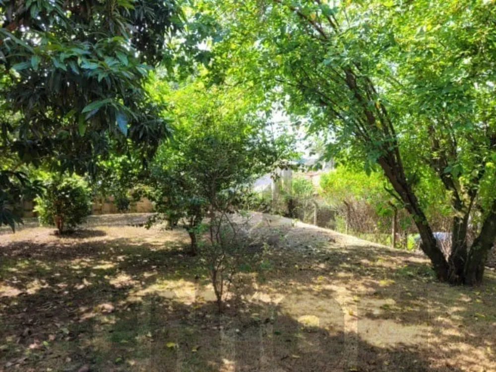 Casa, 3 quartos, 251 m² - Foto 12