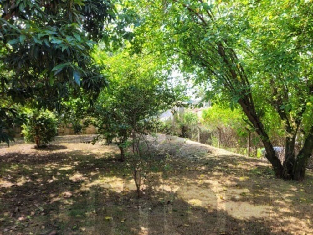 Casa, 3 quartos, 251 m² - Foto 1