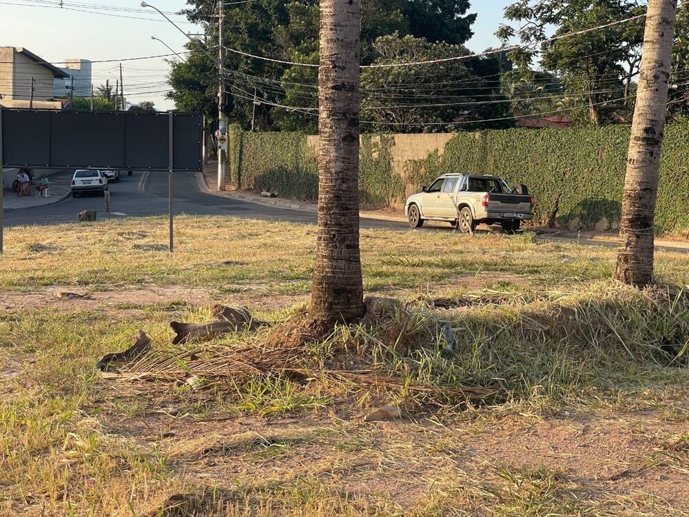 Terreno, 328 m² - Foto 7