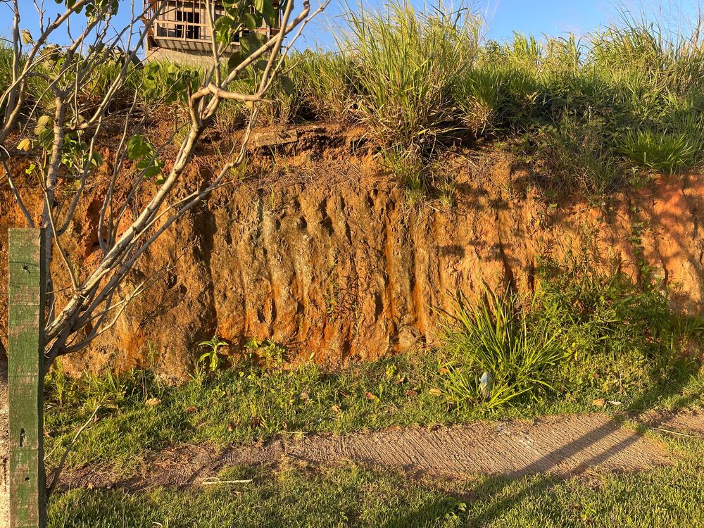 Terreno, 250 m² - Foto 2