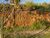 Terreno, 250 m² - Foto 2