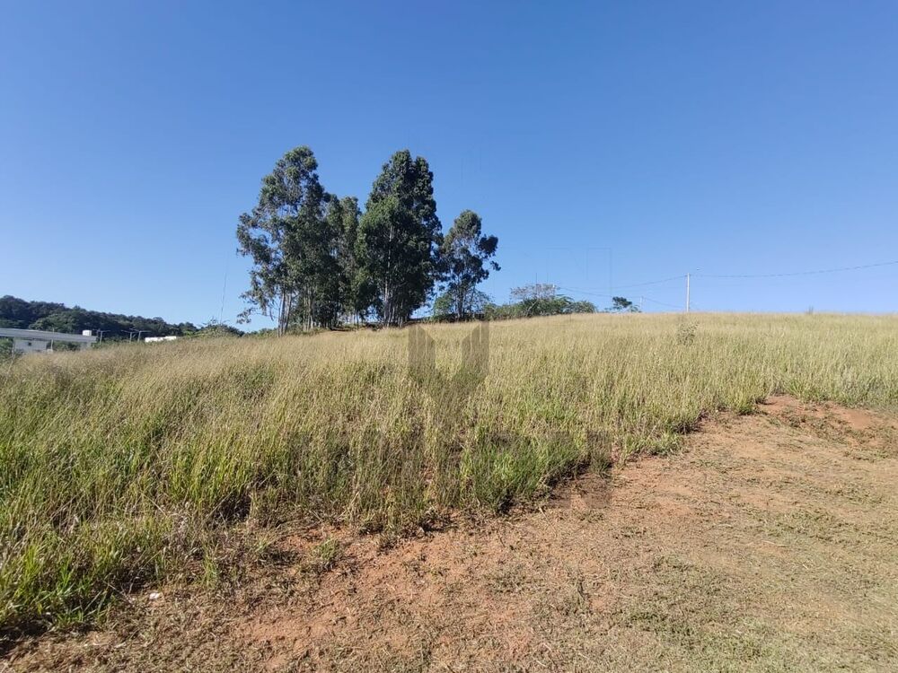 Terreno, 800 m² - Foto 4