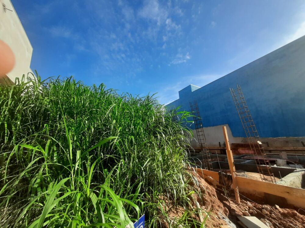 Terreno, 217 m² - Foto 3