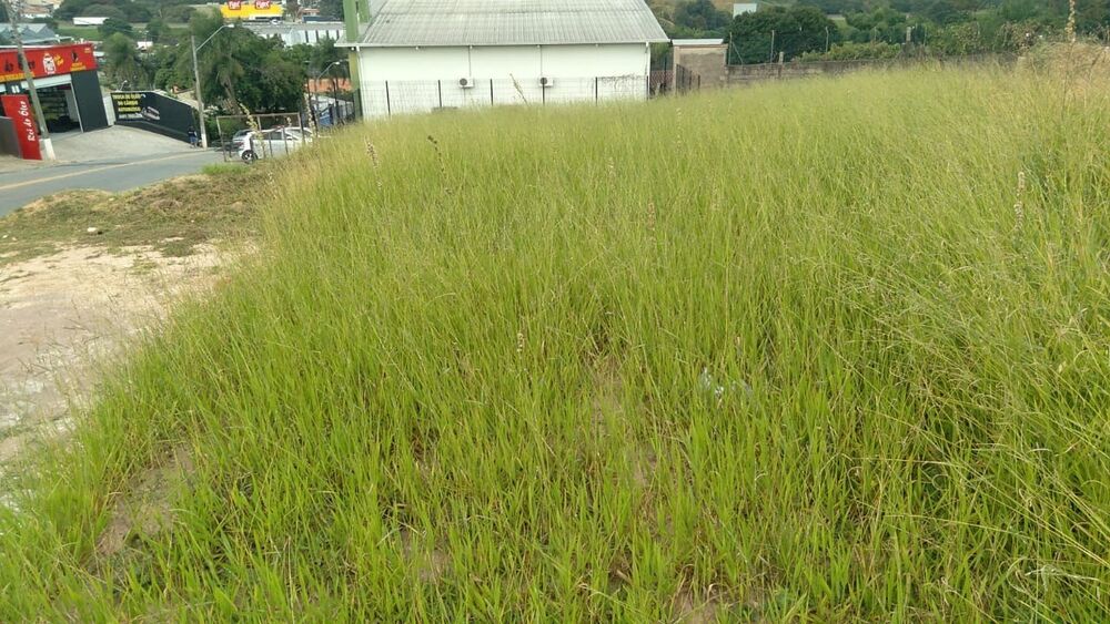 Loteamento e Condomínio, 500 m² - Foto 5