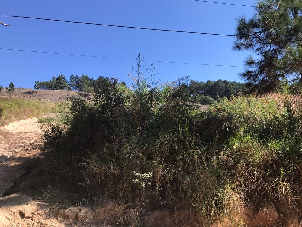 Terreno, 1285 m² - Foto 4