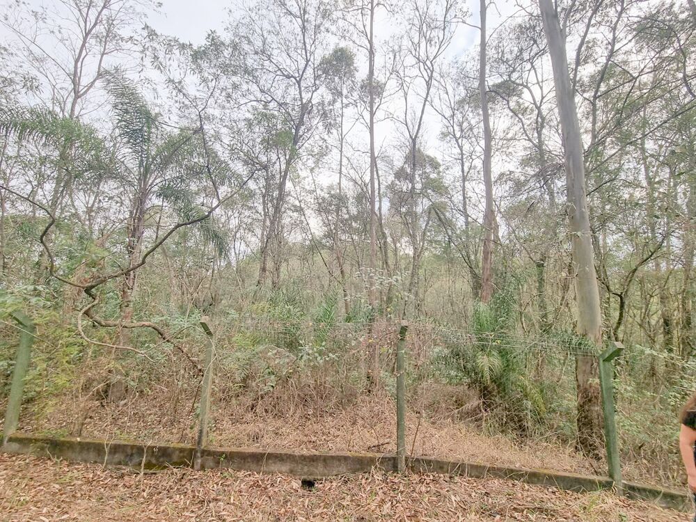 Terreno, 1901 m² - Foto 6