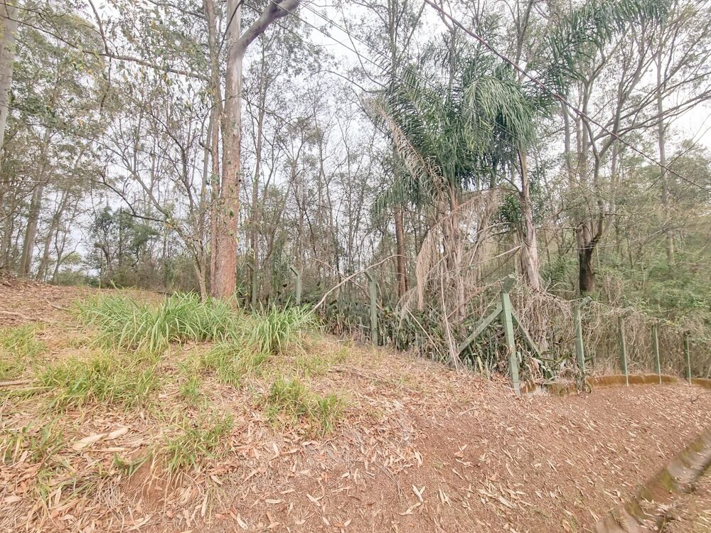 Terreno, 1901 m² - Foto 7