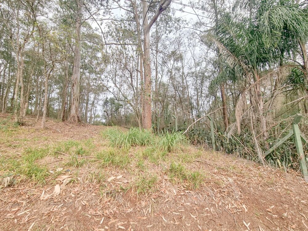 Terreno, 1901 m² - Foto 4