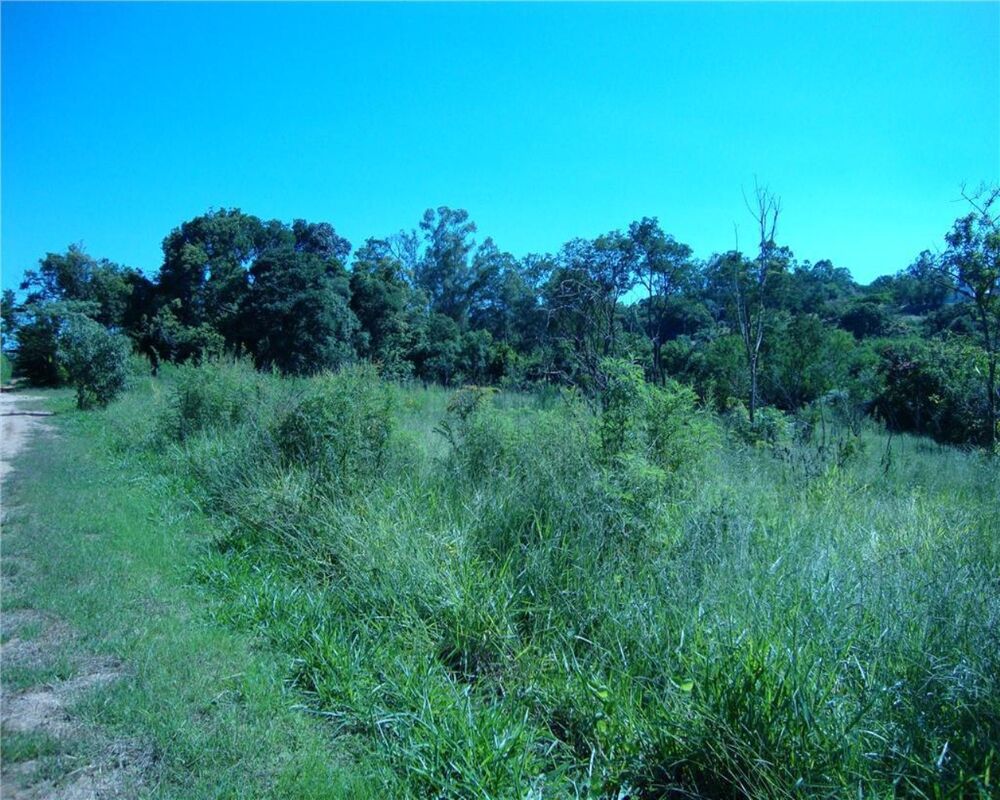 Terreno, 3 hectares - Foto 2