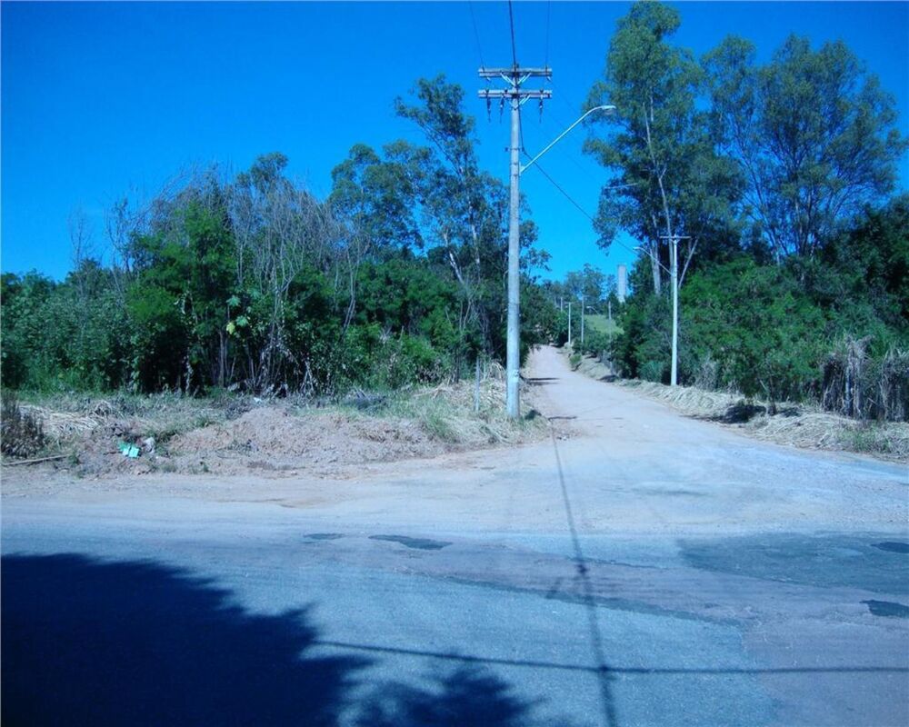 Terreno, 3 hectares - Foto 7