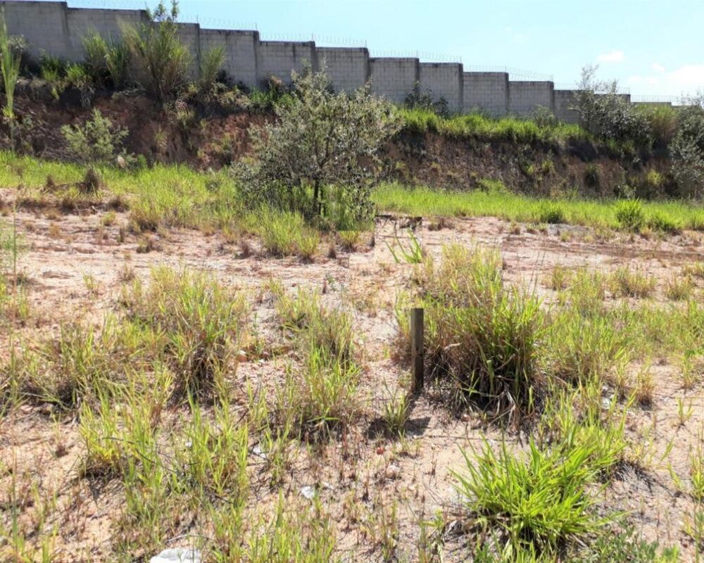 Terreno, 250 m² - Foto 3