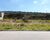 Terreno, 250 m² - Foto 3