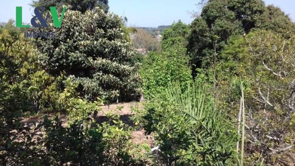 Chácara, 4 quartos, 9000 m² - Foto 12