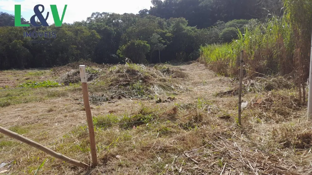 Terreno, 1 hectares - Foto 6