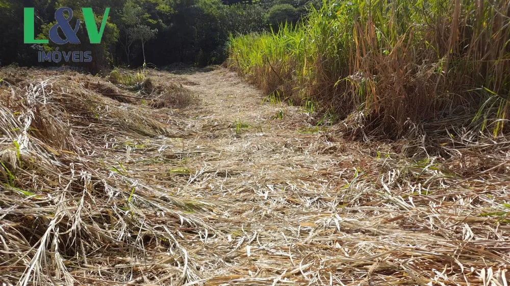 Terreno, 1 hectares - Foto 13