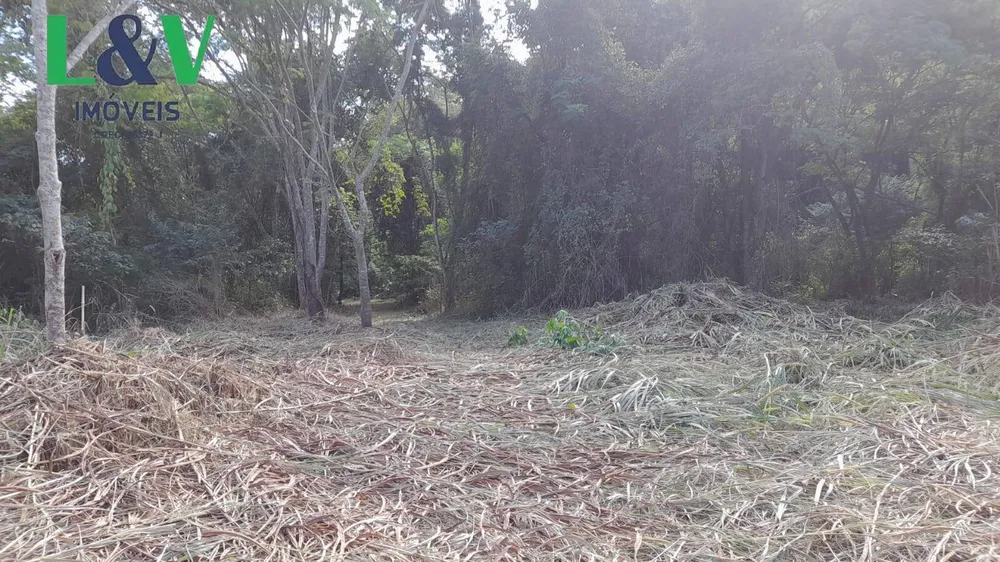Terreno, 1 hectares - Foto 8