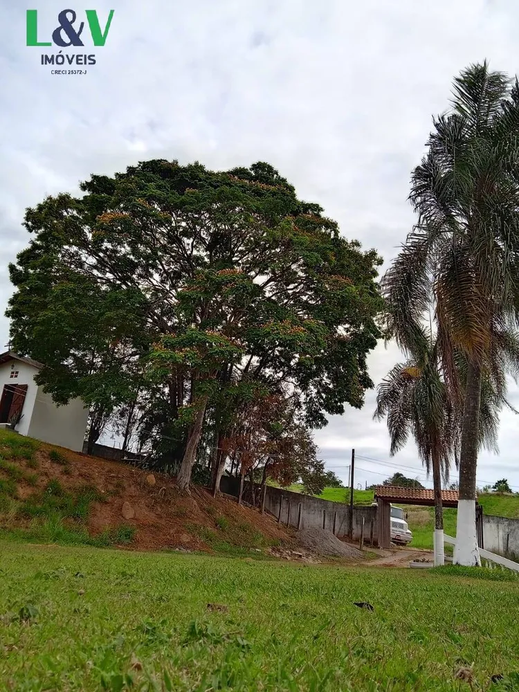 Chácara, 4 quartos, 2 hectares - Foto 6