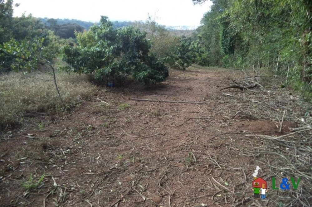 Terreno, 2 hectares - Foto 8